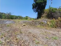 Vista 11