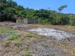 Vista 12