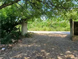 Vista 15