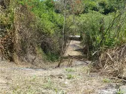 Vista 17