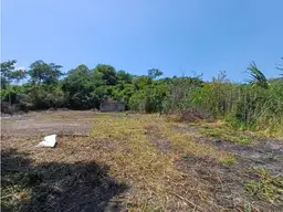 Vista 18