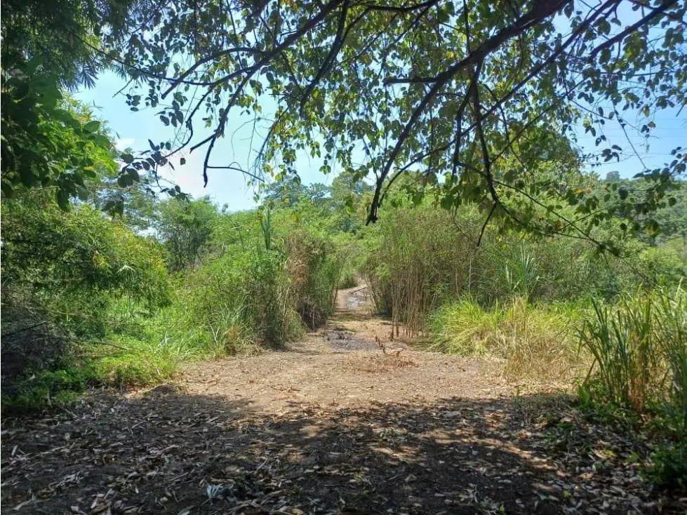 Terreno en venta - CHUSPA - EDO. LA GUAIRA - 20