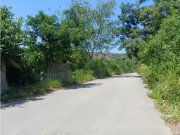 Vista 21