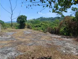 Vista 4