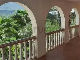 Vista 25