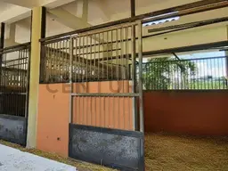 Vista 6
