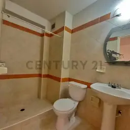 Vista 5