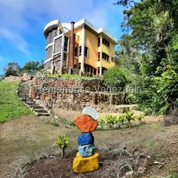 Vista 1