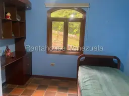 Vista 19