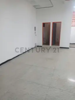 Vista 12