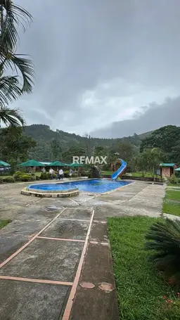 View 12