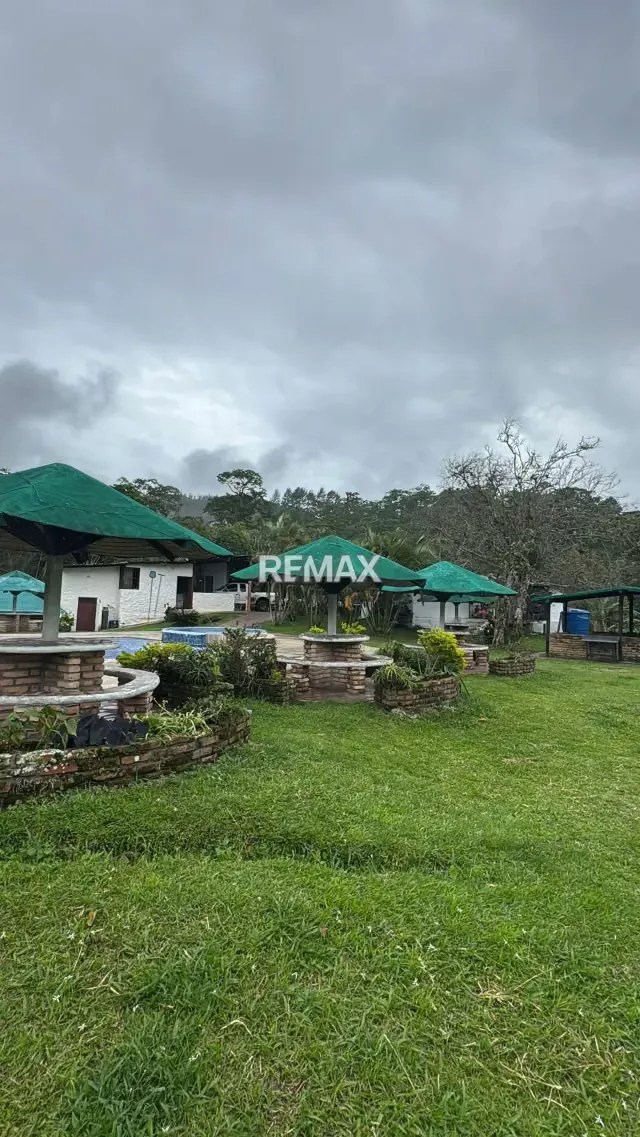 TERRENO EN VENTA EN LOMA DE PANAGA - 3