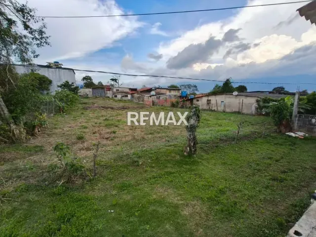 Terreno - 3