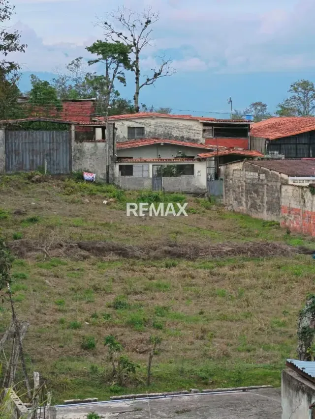 Terreno - 4