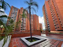 Vista 1