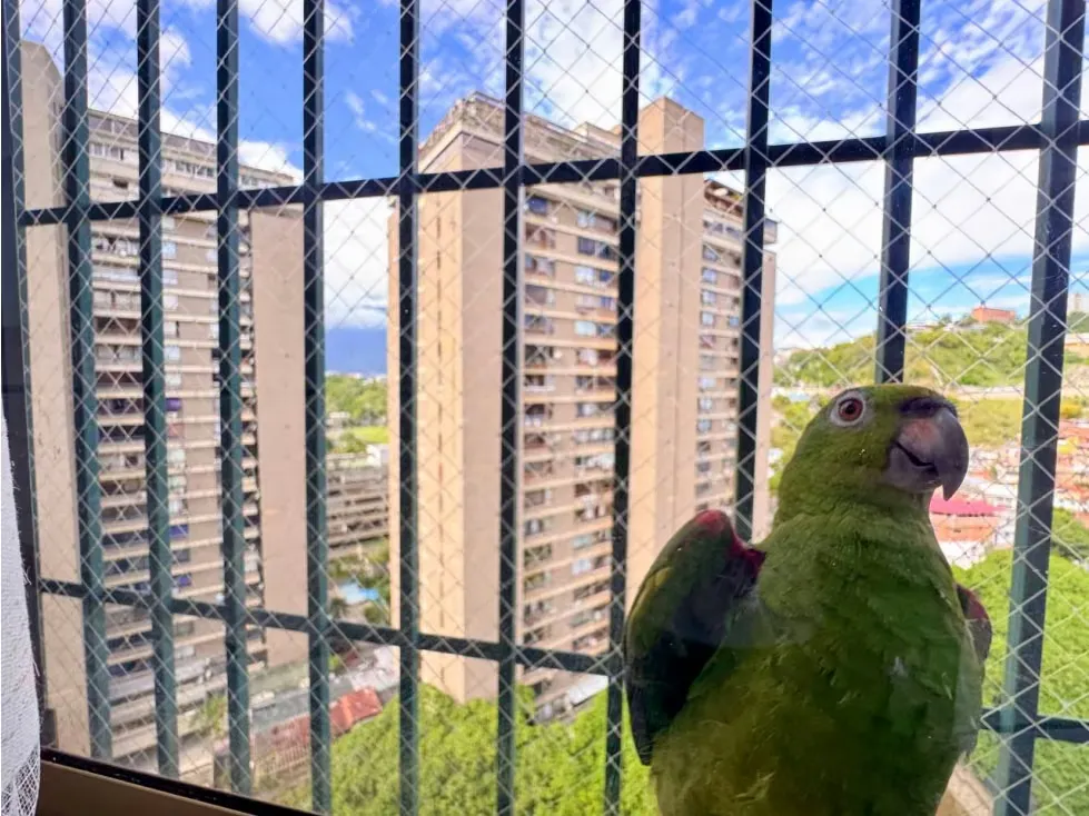 VENTA DE APARTAMENTO EN LA URB. PARQUE HUMBOLTD, MUN. BARUTA - 16