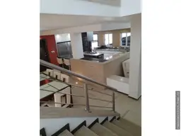 Vista 12