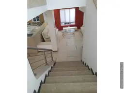 Vista 19