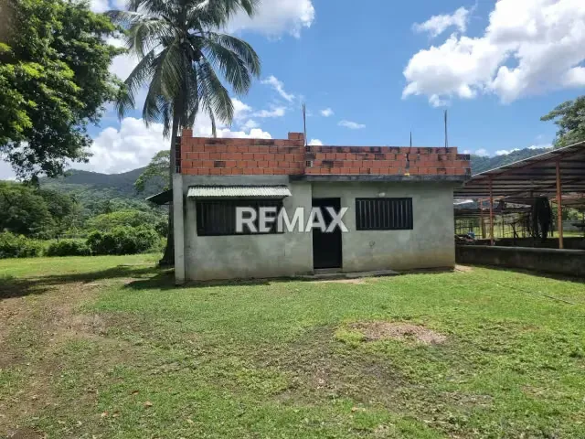 En VENTA hermosa Finca ubicada en agua blanca sector el Joval - 2