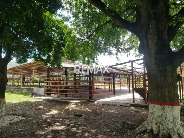 En VENTA hermosa Finca ubicada en agua blanca sector el Joval - 5