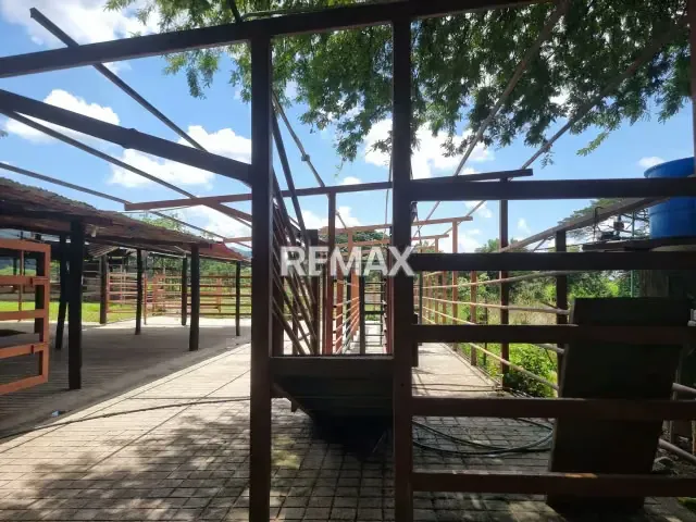 En VENTA hermosa Finca ubicada en agua blanca sector el Joval - 6