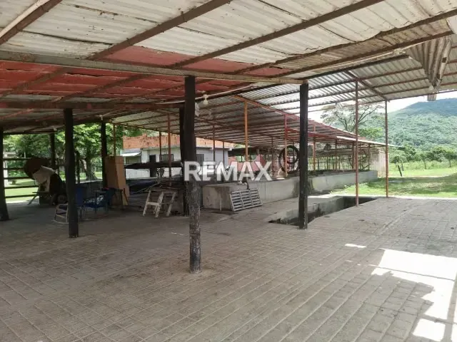 En VENTA hermosa Finca ubicada en agua blanca sector el Joval - 7