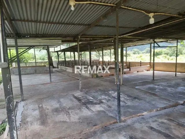 En VENTA hermosa Finca ubicada en agua blanca sector el Joval - 9