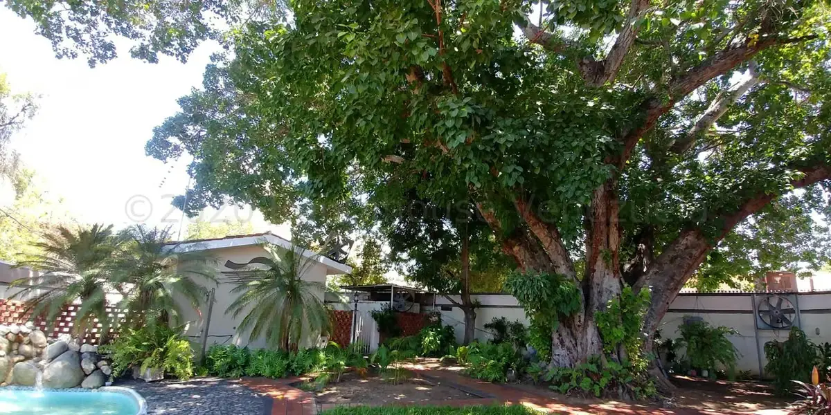 Casa (Duplex) en Venta en Juana de Avila, Zulia - 35
