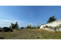Vista 4