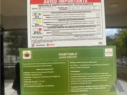 Vista 5