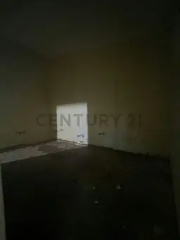 Vista 14