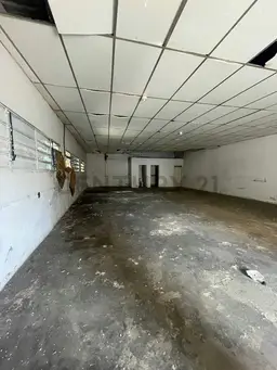 Vista 6