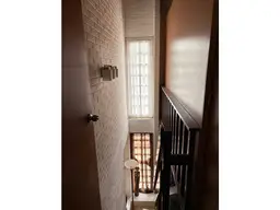 Vista 19
