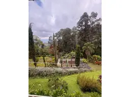 Vista 10