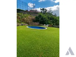 Vista 5
