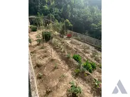 Vista 10