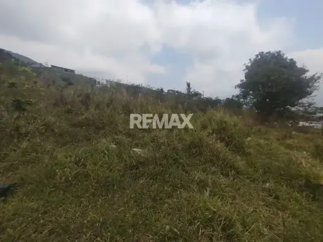 Terreno. Venta. Palmira