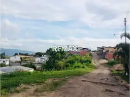 Vista 3