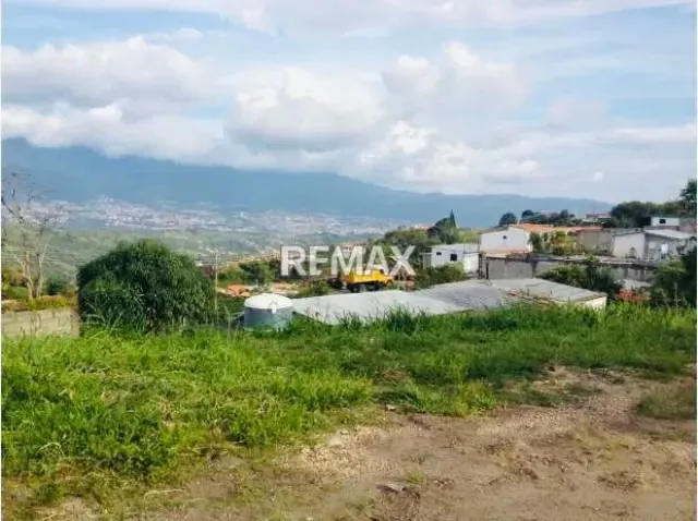 Terreno. Venta. Capácho - 5
