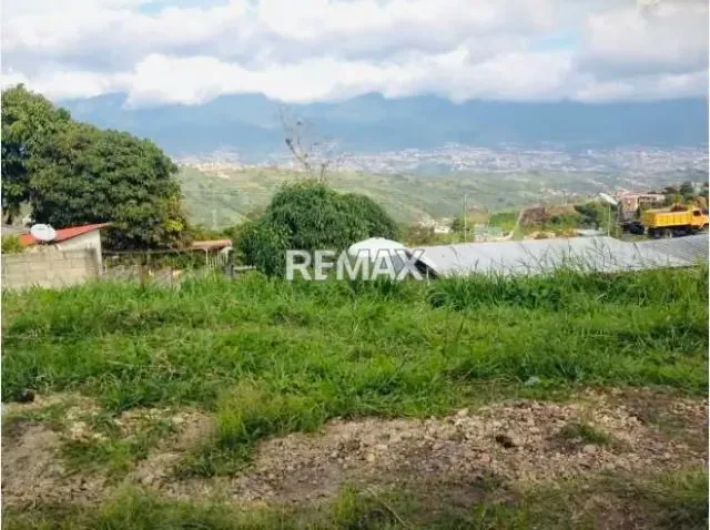 Terreno. Venta. Capácho - 7