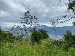 Vista 17