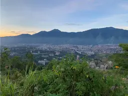 Vista 18