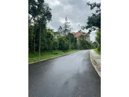 Vista 10