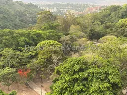 Vista 21