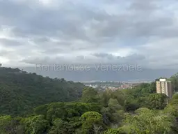 Vista 8