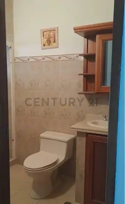 Vista 19