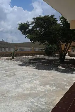 Vista 25