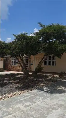 Vista 26