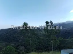 Vista 29