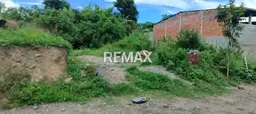 Vista 1